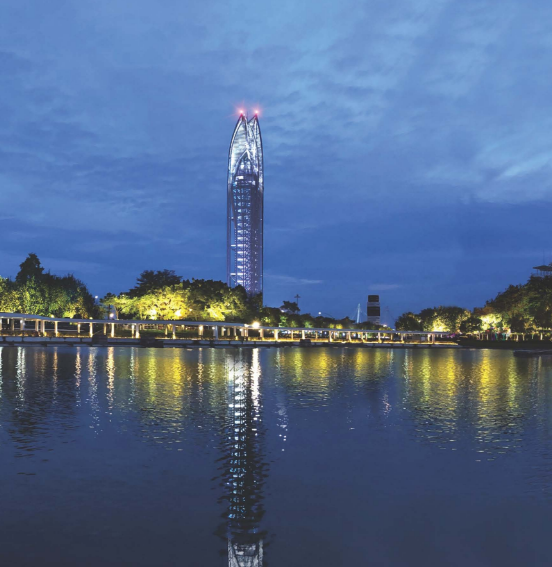 广东·深圳盐田区内湖公园夜景照明工程 (EPC)